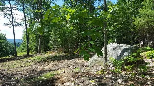 Waterford, ME 04268,Lot #9 McDaniels RD