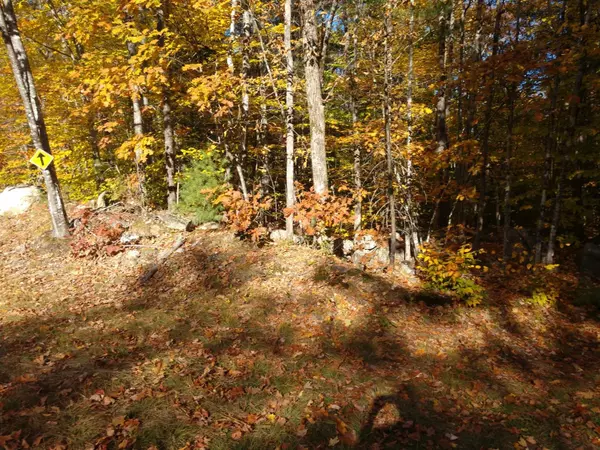 Porter, ME 04068,Off Breakneck Hill RD