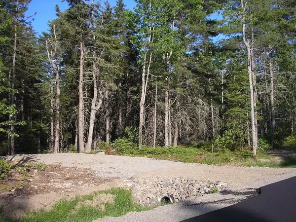 Bar Harbor, ME 04609,0 White Deer CIR #10