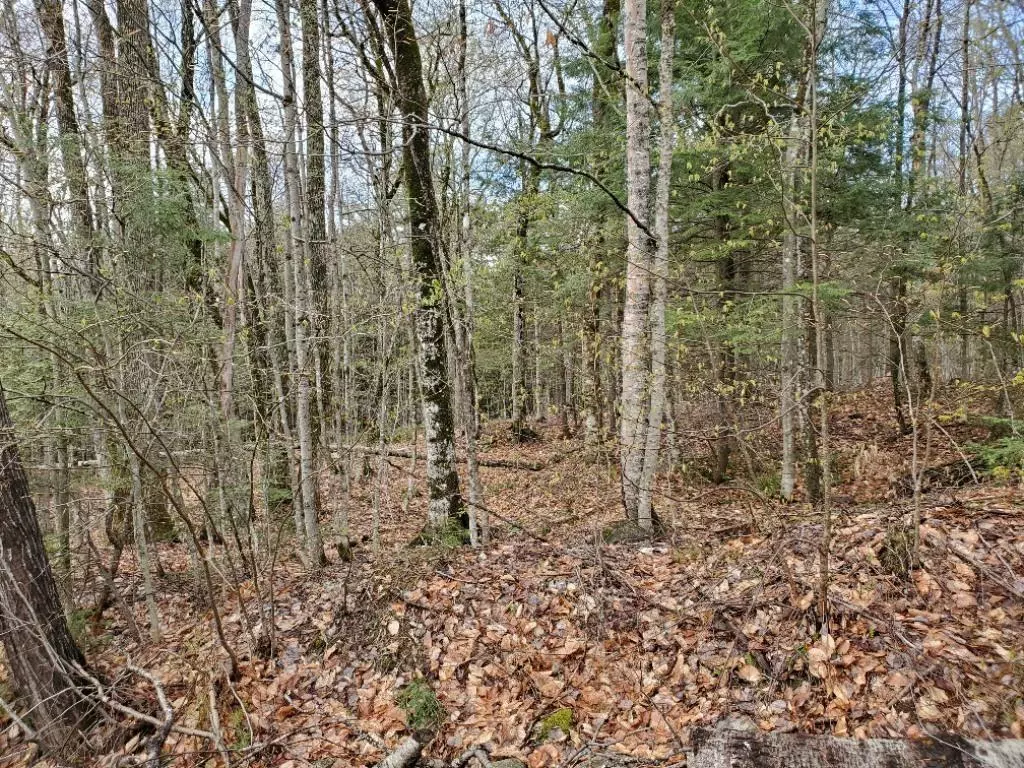 Wilton, ME 04294,M34 L11B-1 Blue  Spruce RD