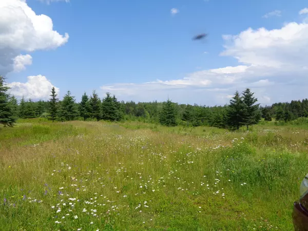 Harrington, ME 04658,Lot 17-20 Kennedy HWY