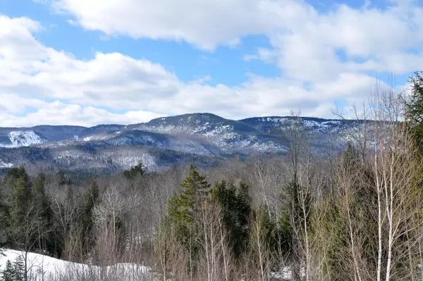 Bethel, ME 04217,Lot 17 Thunder Snow RD