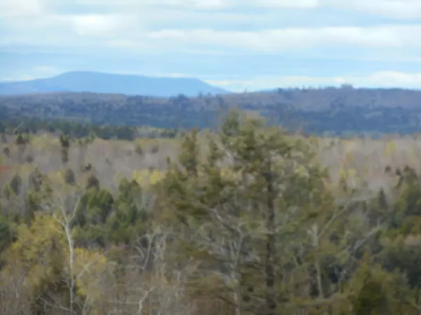 Lakeville, ME 04487,33 acres Upper Pug RD