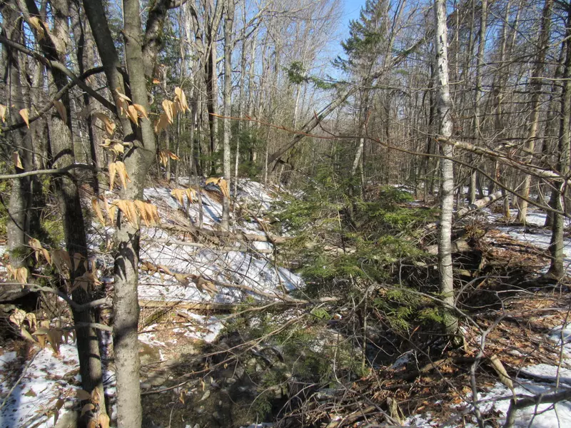 Lot 5 Kennebec RD, Dixmont, ME 04932