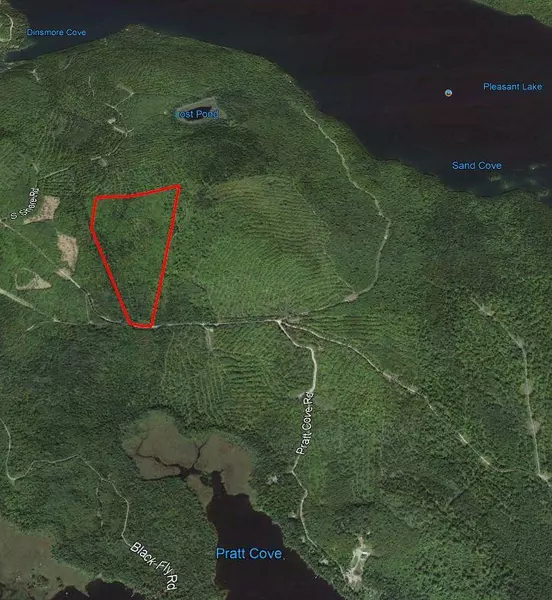 L29A Dow Farm RD, Island Falls, ME 04747