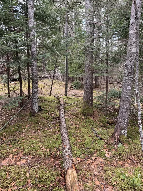 Tremont, ME 04653,000 Bass Harbor Woods RD