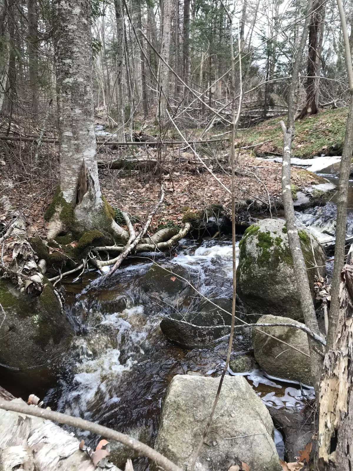 Stockton Springs, ME 04981,0 Cape Jellison Road RD