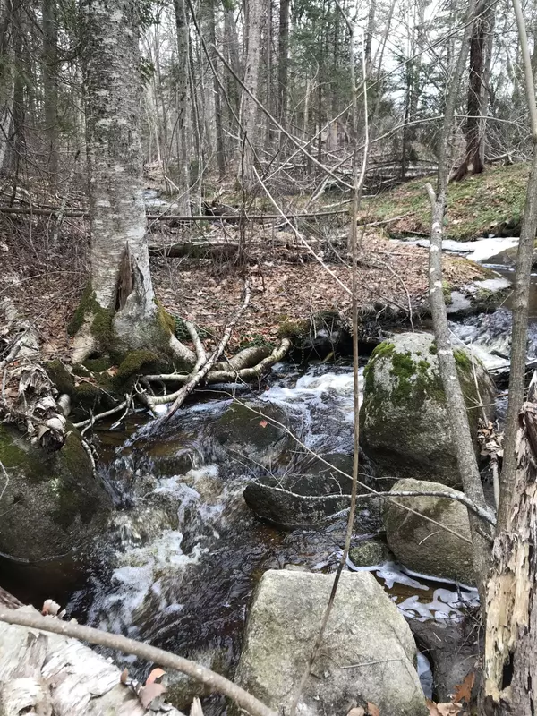 0 Cape Jellison Road RD, Stockton Springs, ME 04981