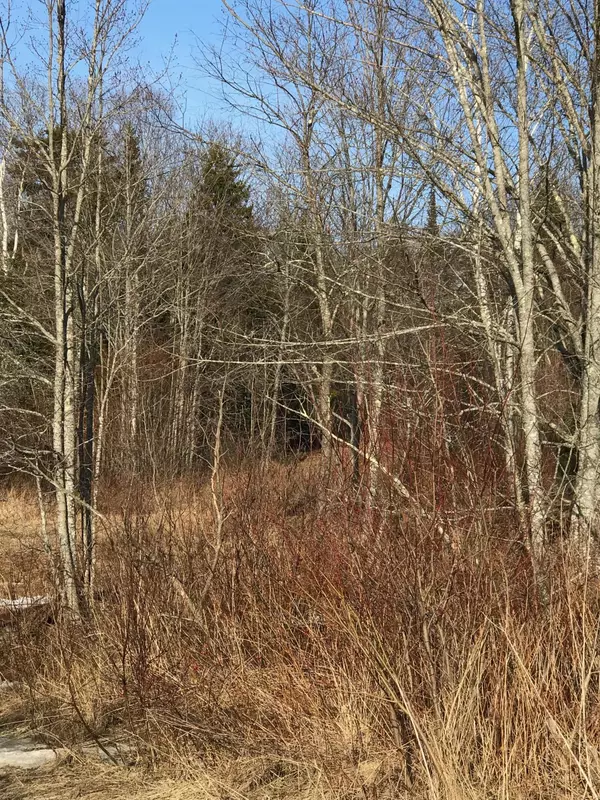Stockton Springs, ME 04981,0 Cape Jellison Road RD