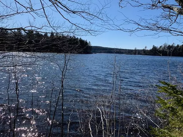Gouldsboro, ME 04607,836-A Pond RD