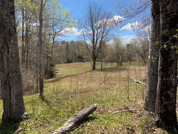 Ellsworth, ME 04605,1041 Mariaville RD