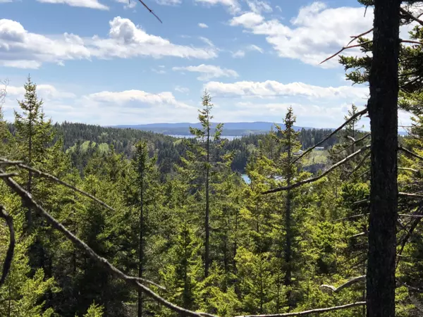 30 Minturn Road, Swans Island, ME 04685