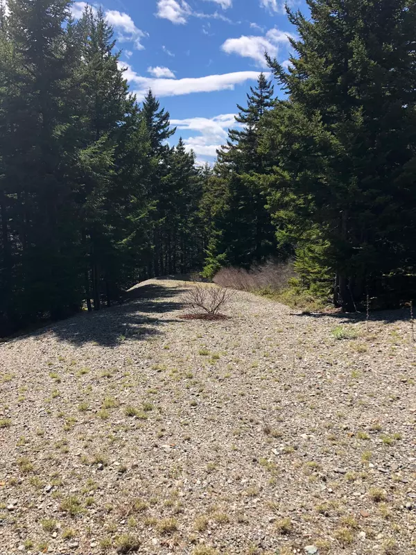 Swans Island, ME 04685,30 Minturn Road