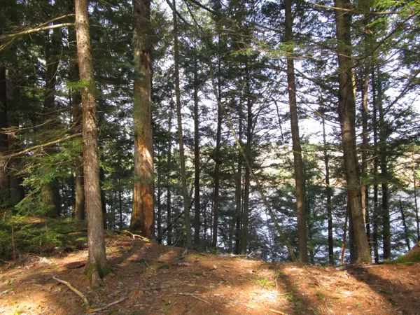 Maxfield, ME 04448,1 maxfield road NW