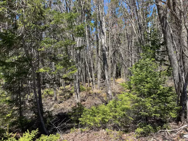 Stonington, ME 04627,00 Airport RD