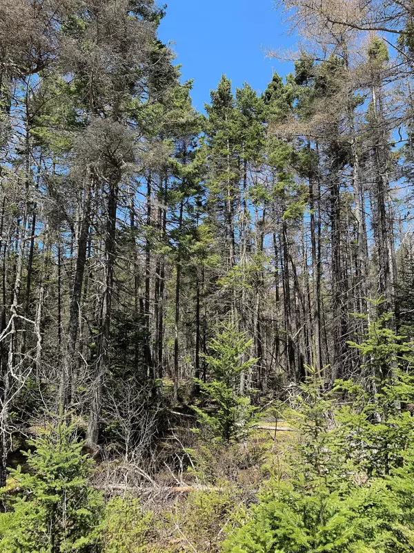 Stonington, ME 04627,00 Airport RD