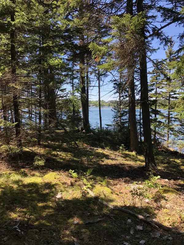 Swans Island, ME 04685,413 Minturn Road