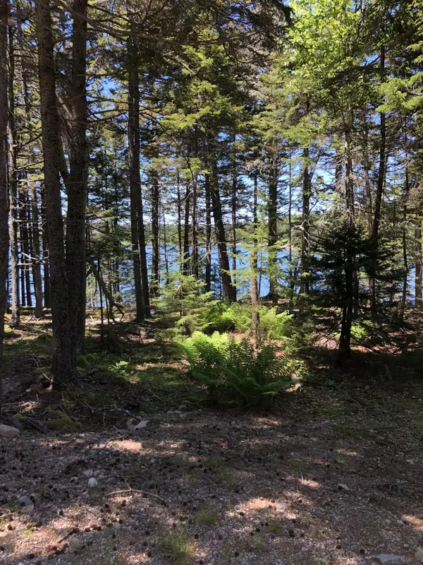 Swans Island, ME 04685,413 Minturn Road