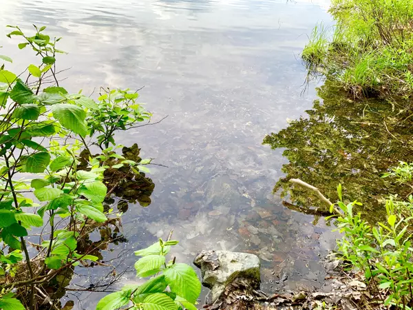 Sebec, ME 04481,28 East LOT#4 DR