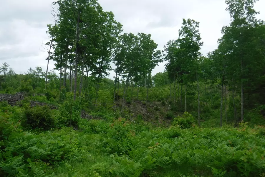 TBD Route 16, Concord Twp, ME 04290