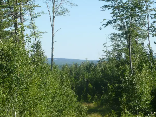 Sebec, ME 04481,0 Milo RD