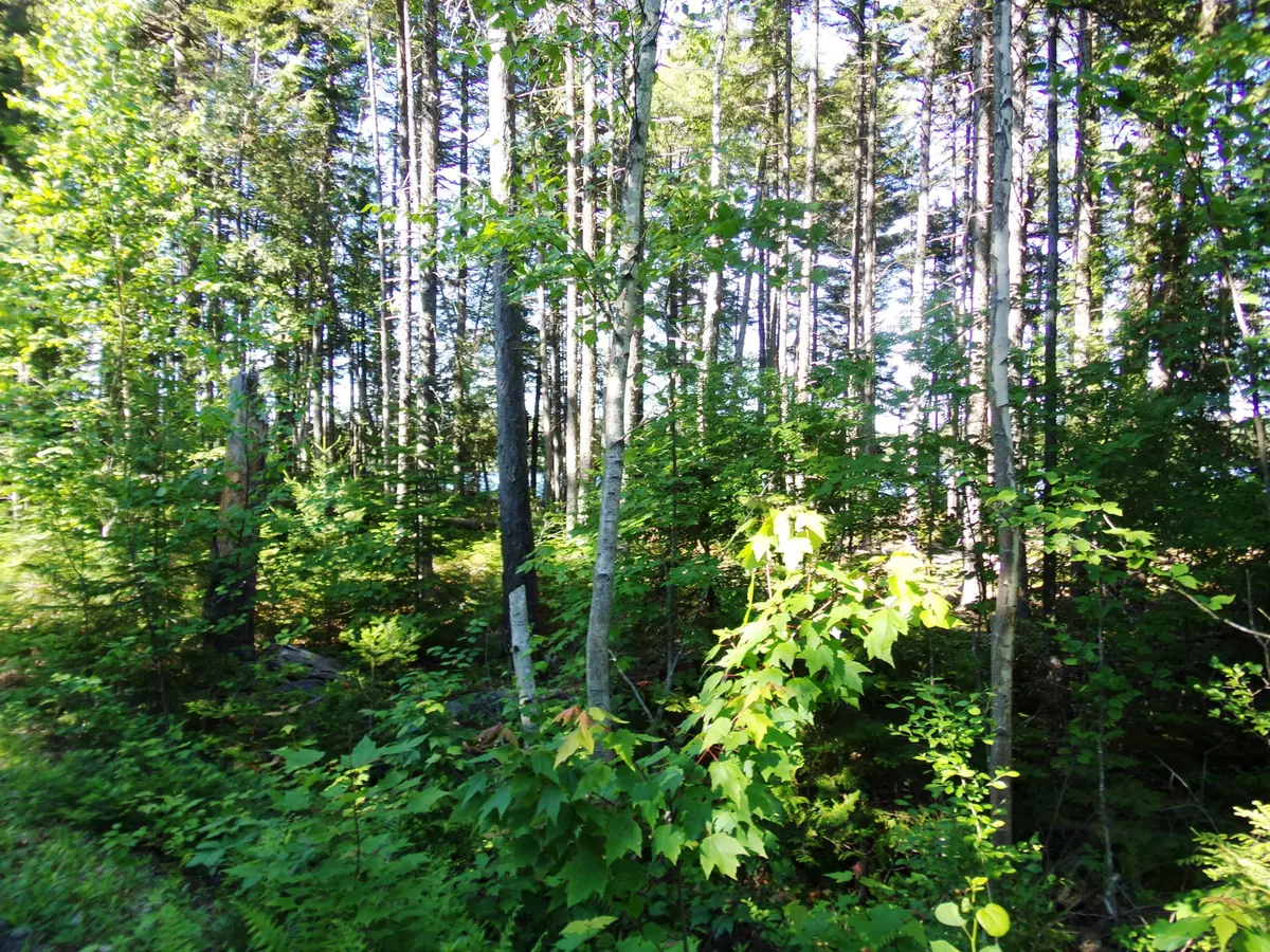 Lake View Plt, ME 04414,02 North Shore RD