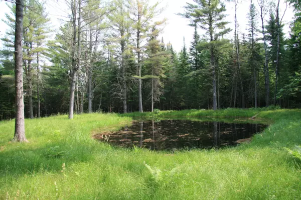 Willimantic, ME 04443,00 Blaine AVE