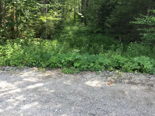 Ellsworth, ME 04605,Lot 4 Peninsula Drive