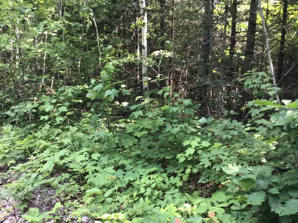 Ellsworth, ME 04605,Lot 5 Peninsula Drive