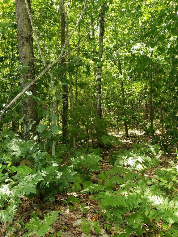 MapR8Lot6 Town Farm RD, Hartford, ME 04220