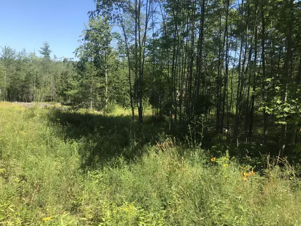 Mechanic Falls, ME 04256,487 Pigeon Hill Lot A RD