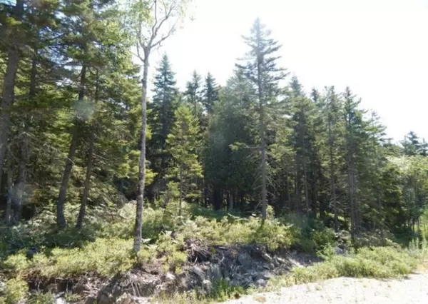 39 Granite Road RD #Lot 4, Southwest Harbor, ME 04679