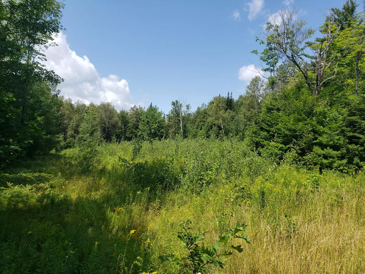 Wilton, ME 04294,TBD Ridgecrest DR