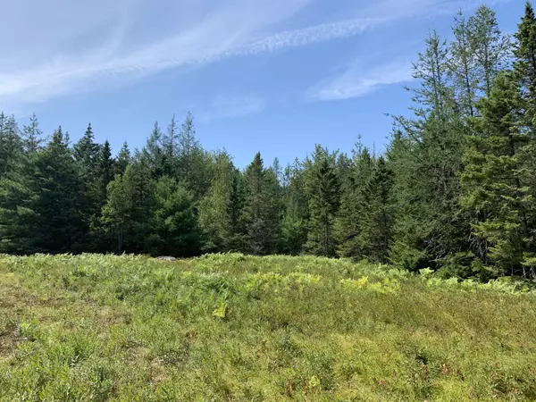 Lot 9 Arrowhead Road, Bar Harbor, ME 04609