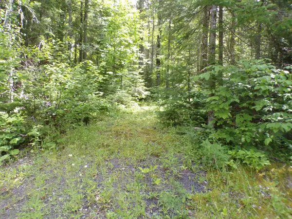 Presque Isle, ME 04769,84 Mountain RD