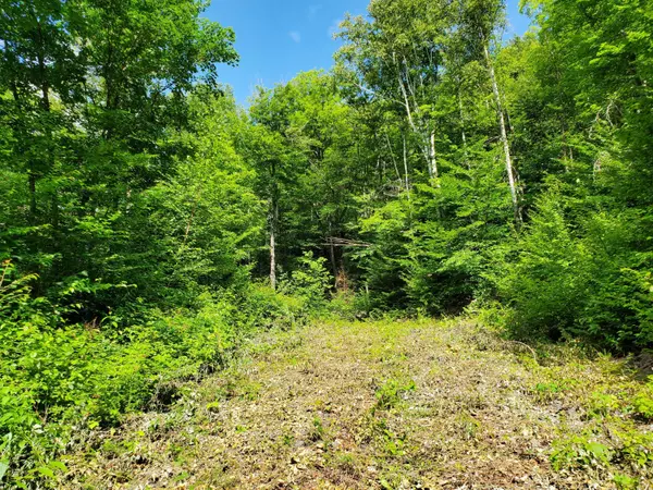 Sandy River Plt, ME 04970,1105 Main ST