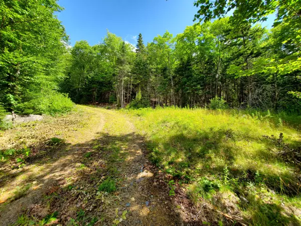 Sandy River Plt, ME 04970,1105 Main ST