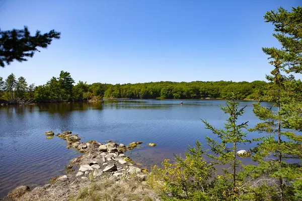 Lot 3 Camp Stream Point LN, Sedgwick, ME 04676