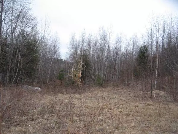 Mexico, ME 04257,L11,L18 Riley Rd Alex Street