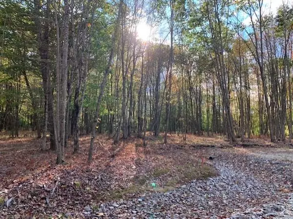 Lisbon, ME 04250,Lot # 7 Shady LN