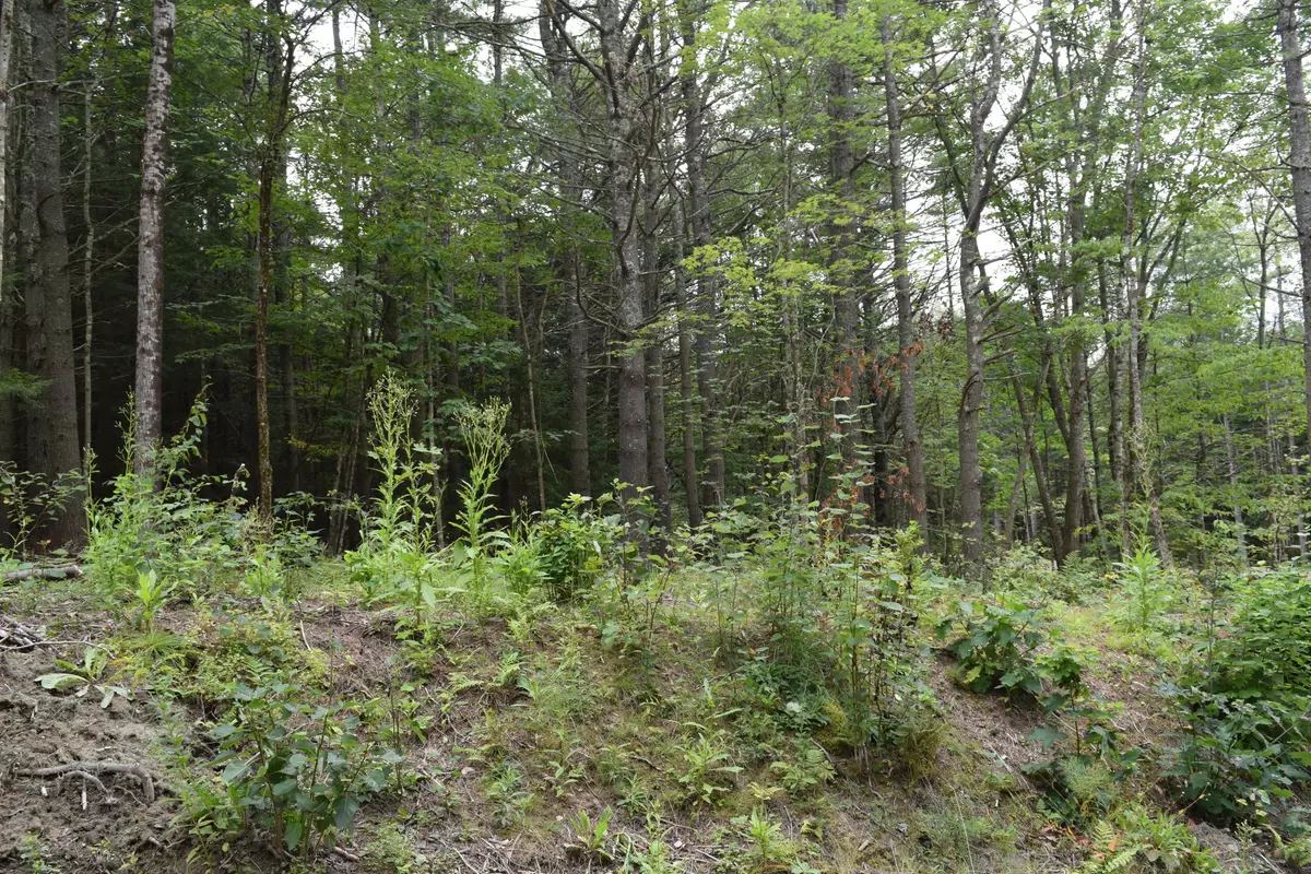 Topsham, ME 04086,55 Patten Lane