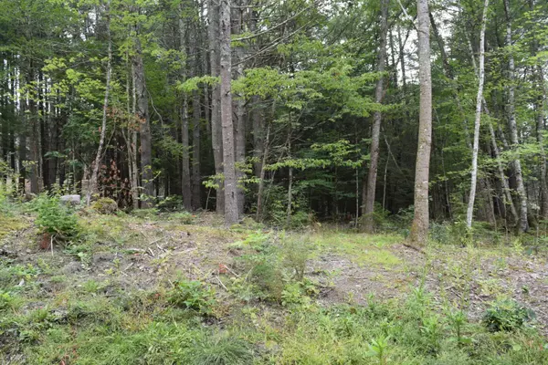 Topsham, ME 04086,55 Patten Lane