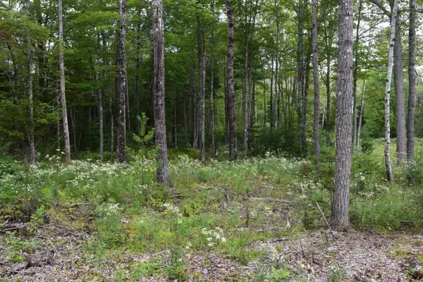 Lamoine, ME 04605,Lot 5 Sunset Bay DR