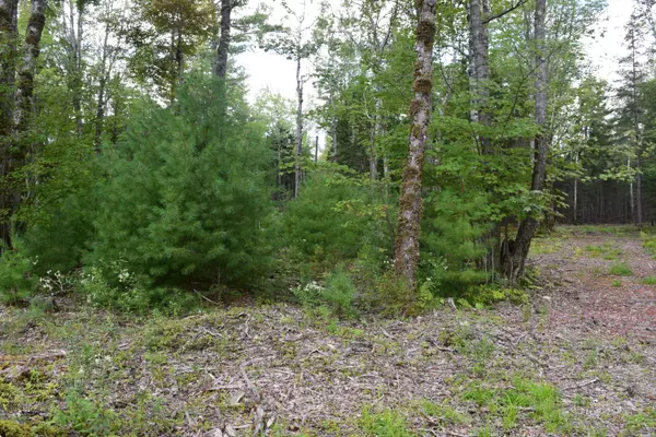 Lamoine, ME 04605,Lot 5 Sunset Bay DR