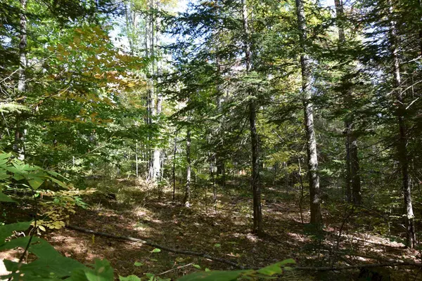 M11 L20 Concord Corner RD, Embden, ME 04958