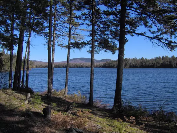 Kingfield, ME 04947,49 Dam RD