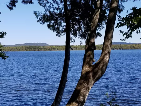 Carrying Place Town Twp, ME 04961,tbd Storey RD