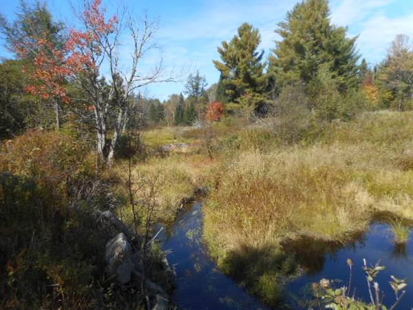 Map5Lot30J White Road, Enfield, ME 04493