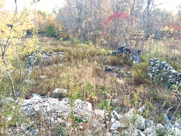 Limerick, ME 04048,47acres New Dam RD