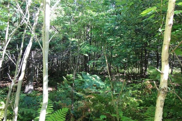 Lot 12 Doe PATH, Rangeley, ME 04970